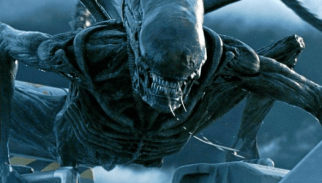 Screen Shot 2018-11-23 at 09.34.24